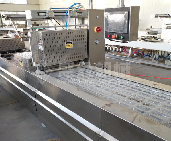 1546843440976821.png 全自动连续拉伸膜真空包装机.png